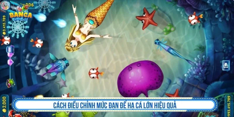 Người chơi nên bắt đầu với mức đạn hợp lý khi nhắm cá lớn