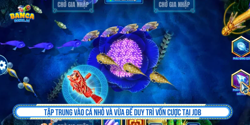 Ưu tiên cá nhỏ và cá vừa để kiểm soát vốn trong bắn cá JDB