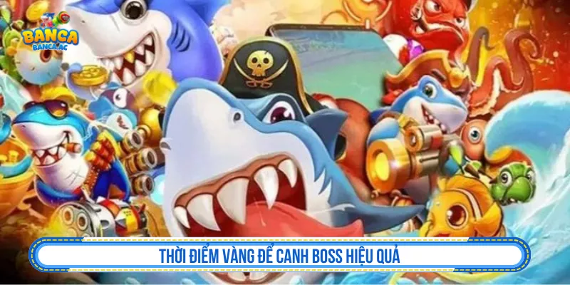 Thời điểm phù hợp để canh boss khi chơi bắn cá